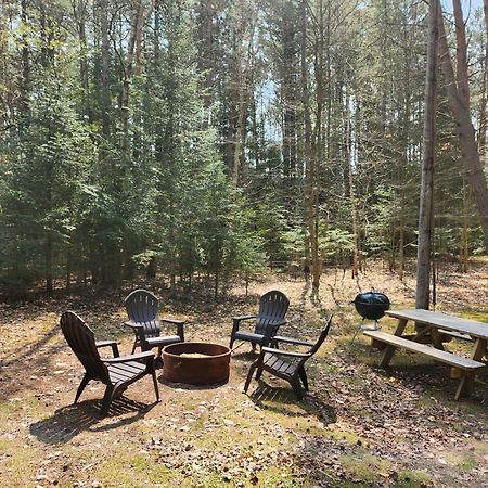 Moreno'S Adirondack Cabins サラナク・レイク エクステリア 写真