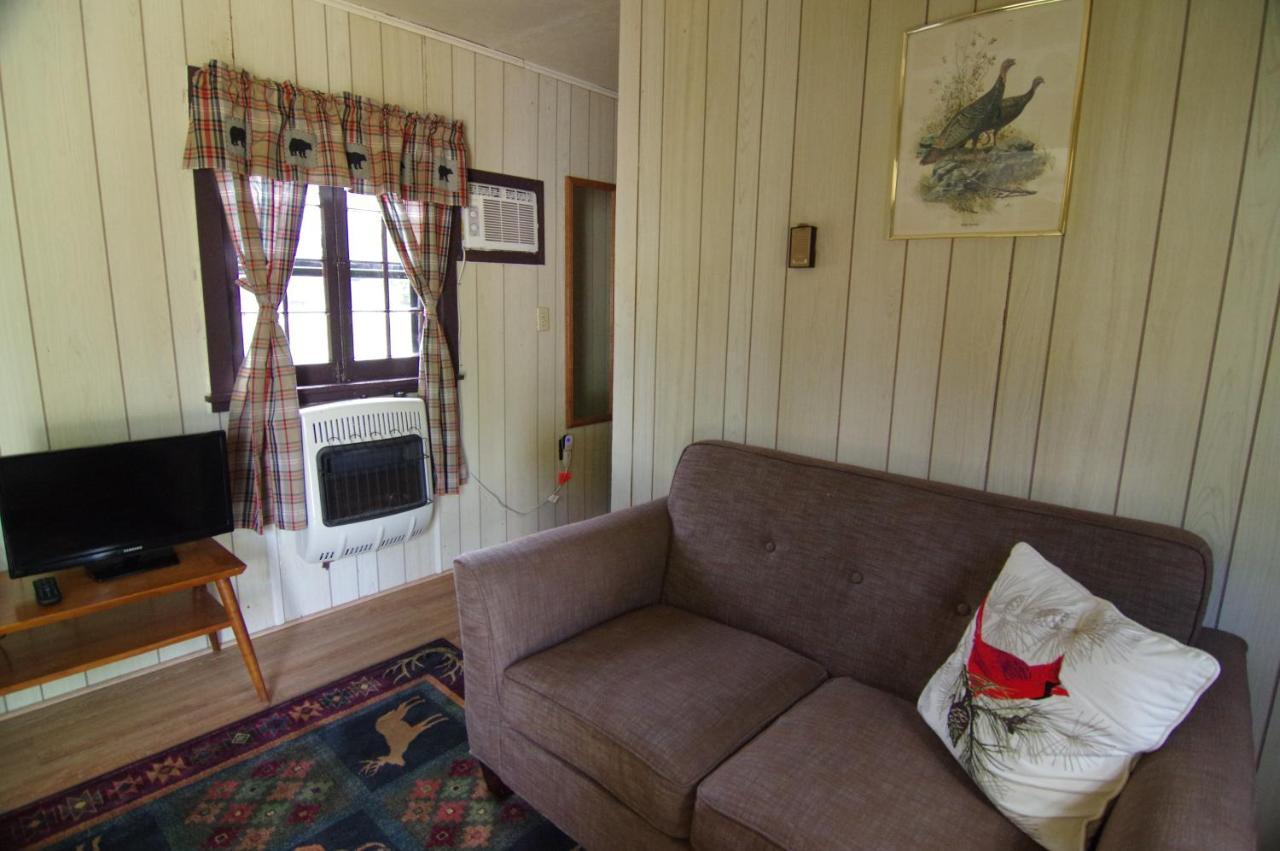 Moreno'S Adirondack Cabins サラナク・レイク エクステリア 写真
